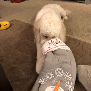 Meet your Posher, Tonya